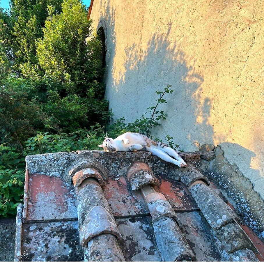 バルベリーノ・ヴァル・デルサ La Volpaia 1521ヴィラ エクステリア 写真