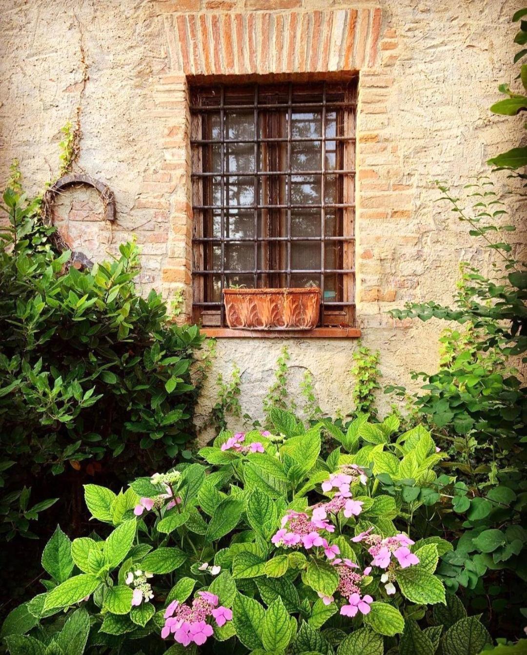 バルベリーノ・ヴァル・デルサ La Volpaia 1521ヴィラ エクステリア 写真